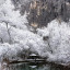 Клубок