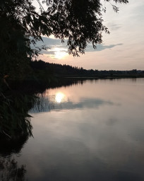сентябрит
