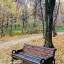 Осенняя любовь