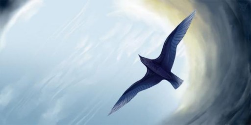 Переведи меня через майдан ( не о политике)