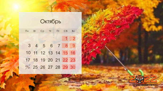 Расписание работы сайта на октябрь