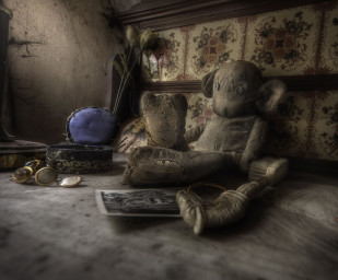 Дом игрушек