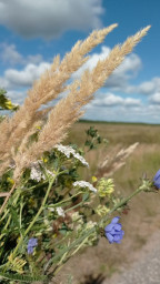 Ни сбежать, ни расстаться