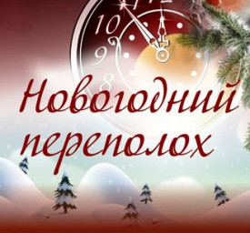 Новогодний переполох!