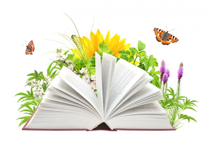 Пёстрая книга лета. Приглашаем в новый проект!