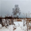 Первое утро