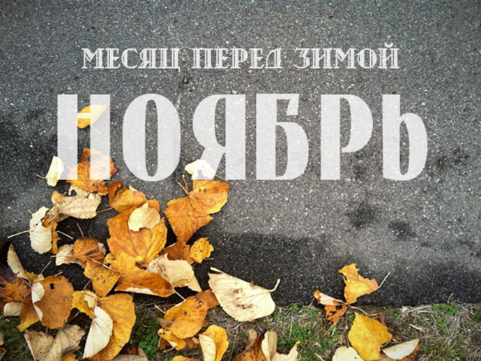Расписание работы Литературного клуба на ноябрь