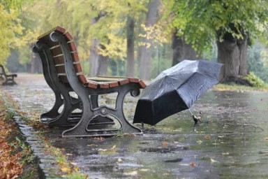 Осенний дождь смывает краски лета