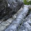 В Час Быка