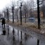 Городская пастораль