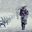 Пал первый снег на Покрова