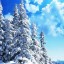 Февраль