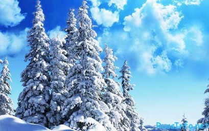 Февраль