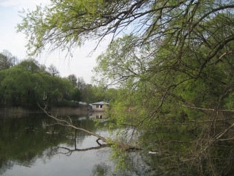 Берег осыпался