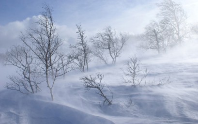 Пурга