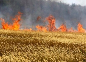 Горят земля, поля и небо