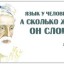 Подражание Омару Хаяму