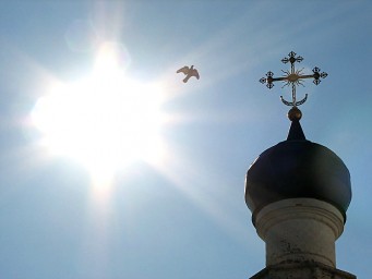 Живи в любви