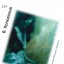 Книга Виталия Коновалова "Бессонница"