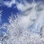 Как жаль