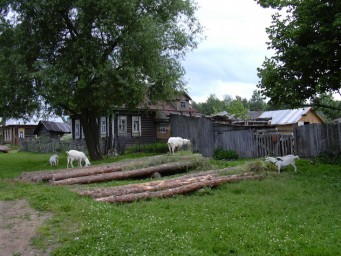 Придурок