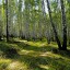 Книга Продолжение