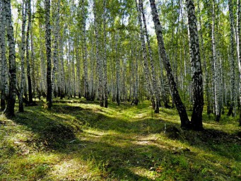 Книга Продолжение
