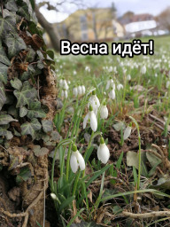 Ты чувствуешь? Весна идёт!