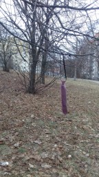 Апломб и начало карьеры
