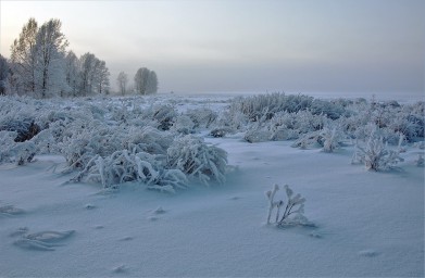 Зима