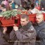 Кухонный наряд