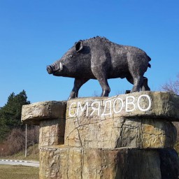Новая книга о Смядово.