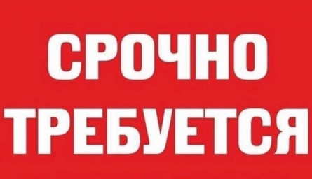 СРОЧНО! ТРЕБУЕТСЯ ТЕХНИЧЕСКИЙ АДМИН ДЛЯ САЙТА!