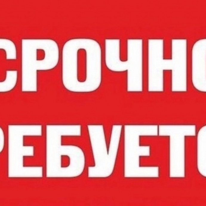 СРОЧНО! ТРЕБУЕТСЯ ТЕХНИЧЕСКИЙ АДМИН ДЛЯ САЙТА!