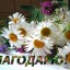 ​---Мне очень важно---