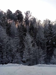 ---Чудесная пора---