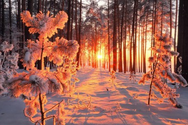 ---Очень снежно---