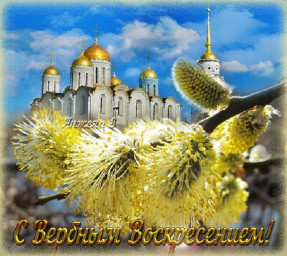 ​---Вербное---