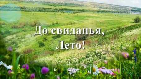 ​---Лето вернётся---
