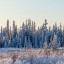 ---Чудесен вид---