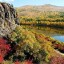 ​---Осень---