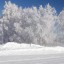 ​---Крепчает мороз---