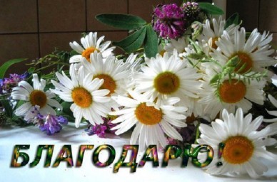 ​---Мне очень важно---