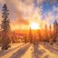 ---Мороз за сорок---