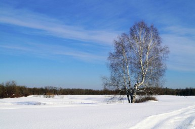 Как медленно и, в общем, безучастно