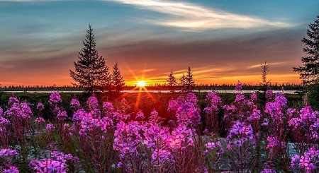 Простое совершенство