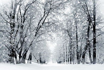 Зимнее настроение