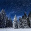 Сегодня ночью падал снег