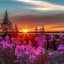 Простое совершенство