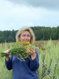 Есть небо и солнце, есть лес и река